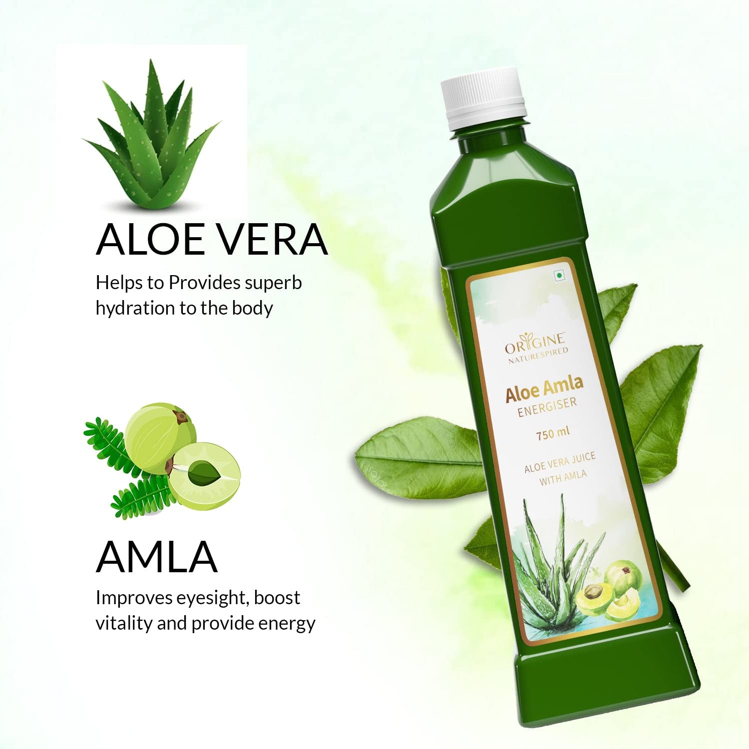 Aloe Amla Juice | For Immunity, Digestion & Detox, 750ml